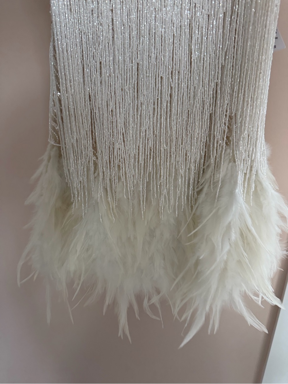 Nadine Merabi Lottie Fringe Feather Minidress - Picture 2 of 6